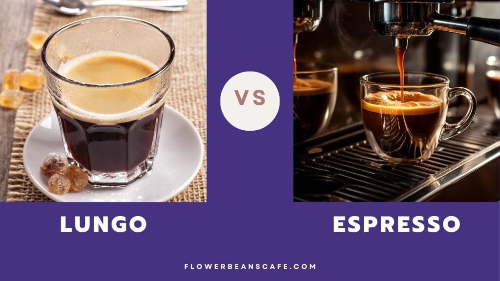 Lungo Vs Espresso